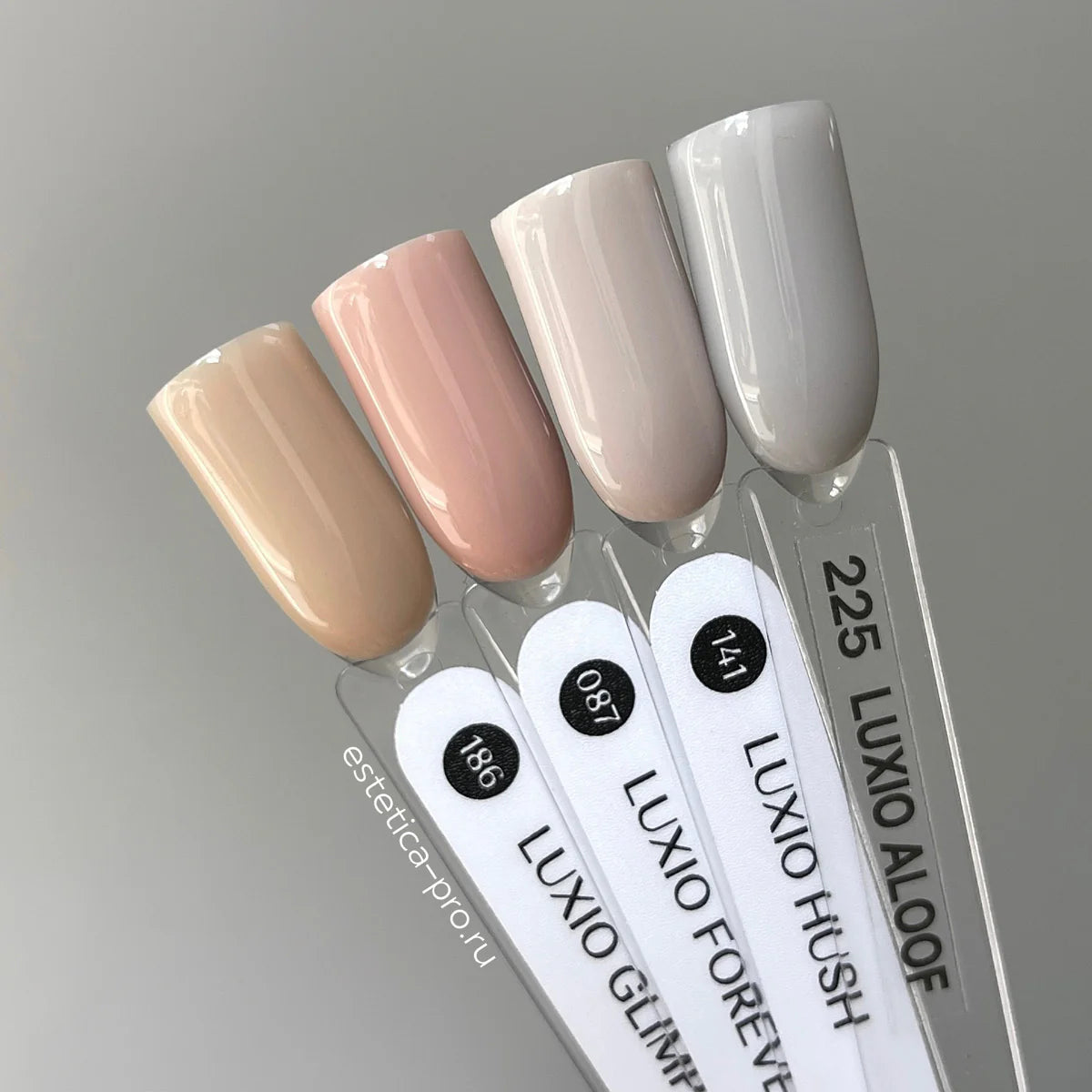 Akzentz Luxio Forever gel color and finish