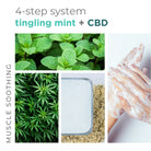 BCL Tingling Mint & CBD 4 Step Pedicure Pack promotional collage showing the four-step pedicure system