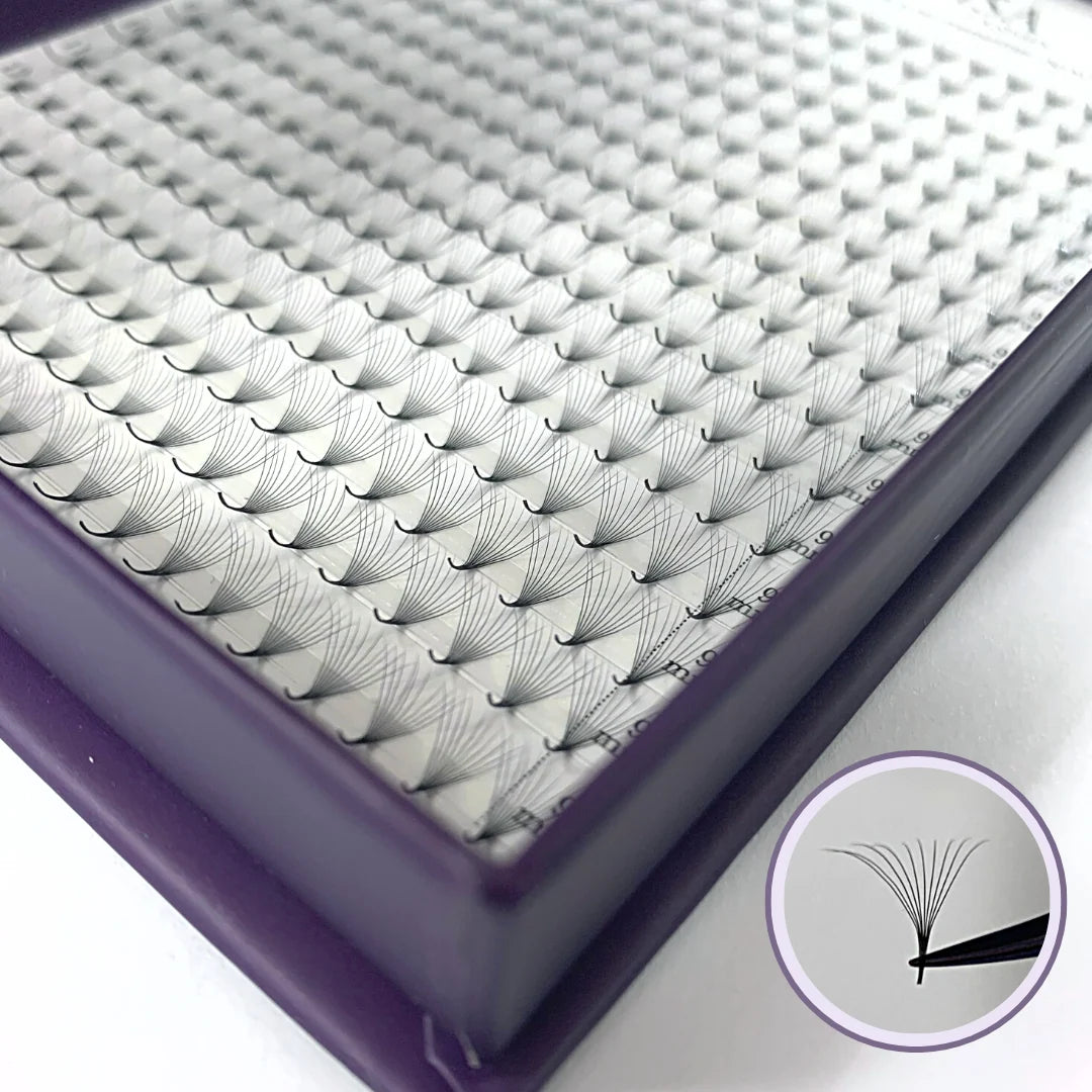 Roselisa - Promade Volume Fans - D-Curl - 5D x 13mm lash fan tray close-up