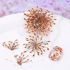Dried flowers in a clear plastic case on a white surface with a blurred purple background