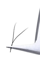 Close-up of a white and black surfboard fin and finbar against a solid white background.